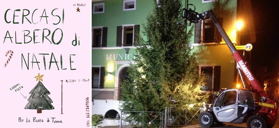 A Tenna manca l’albero di Natale, così parte la ricerca via social: “Un dono da 10 metri”